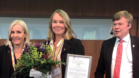 Vinnare av Norrbottens jämställdhetspris 2018